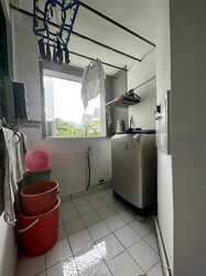 Celadon View (D17), Apartment #456791531